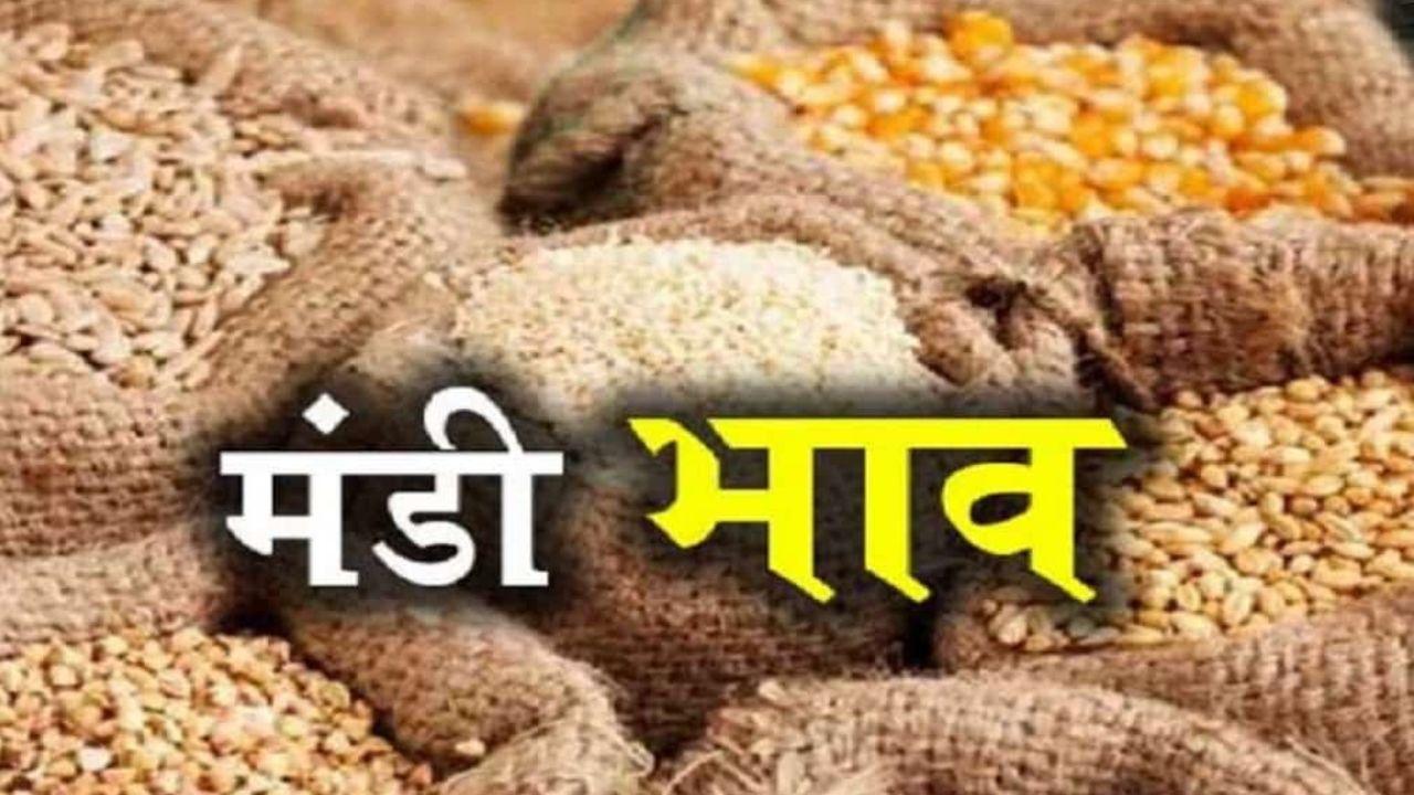 Mandi Bhav: देसी चना और मूंग के दाम में जबरदस्त उछाल, गेहूं-सोयाबीन कमजोर, देखें 27 नवंबर का ताजा भाव
