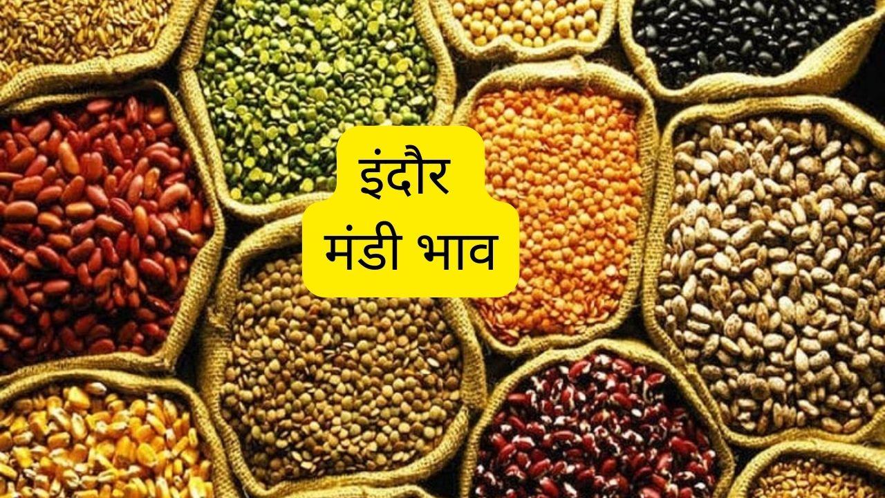 Mandi Bhav: डॉलर चना और तुअर के दाम में जबरदस्त गिरावट, बढ़े मूंग के भाव, देखें 16 अक्टूबर का ताजा रेट