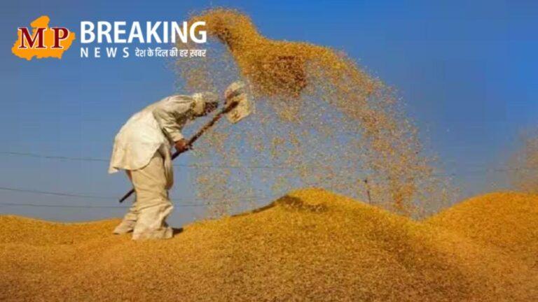 मध्य प्रदेश गेहूं उपार्जन 2026: 7 फरवरी से पंजीयन, MSP 2585 रुपए, जानिए नियम- प्रक्रिया और अन्य डिटेल्स