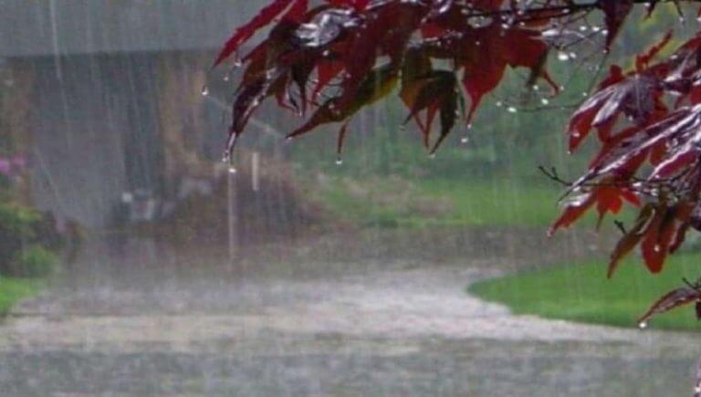 नीमच के जीरन में प्रकृति का तांडव, भारी ओलावृष्टि और आंधी से अफीम, कलौंजी की फसलें हुई तबाह