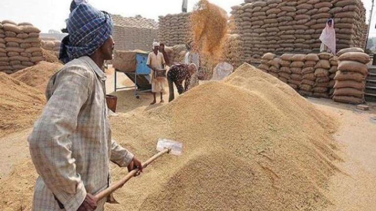 गेहूं उपार्जन: प्रदेश में अबतक 4 लाख 42 हजार किसानों का पंजीयन, 3186 केन्द्र बनाए गए, MSP है 2585 रु, जानें नियम-प्रक्रिया डिटेल्स