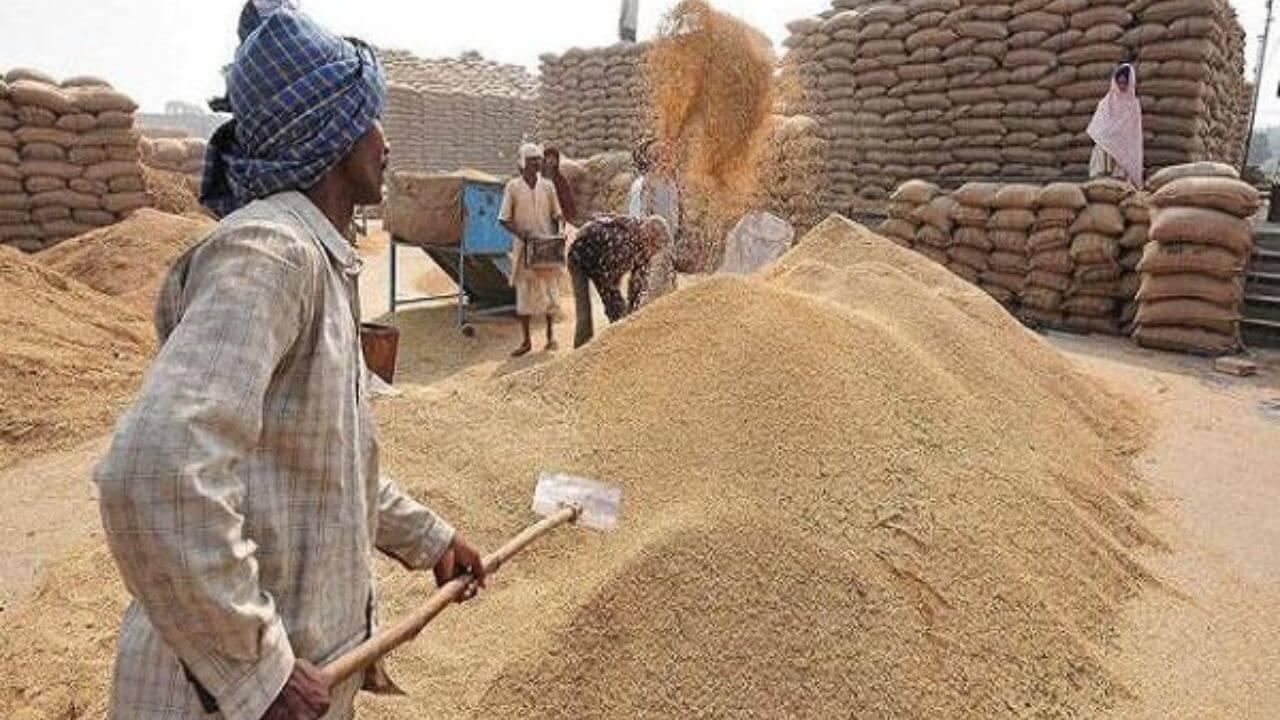 एमपी गेहूं उपार्जन: किसानों के लिए महत्वपूर्ण खबर, 31 मार्च तक पंजीयन, अबतक 28677 का हुआ पंजीयन, जानें रेट नियम और डिटेल्स