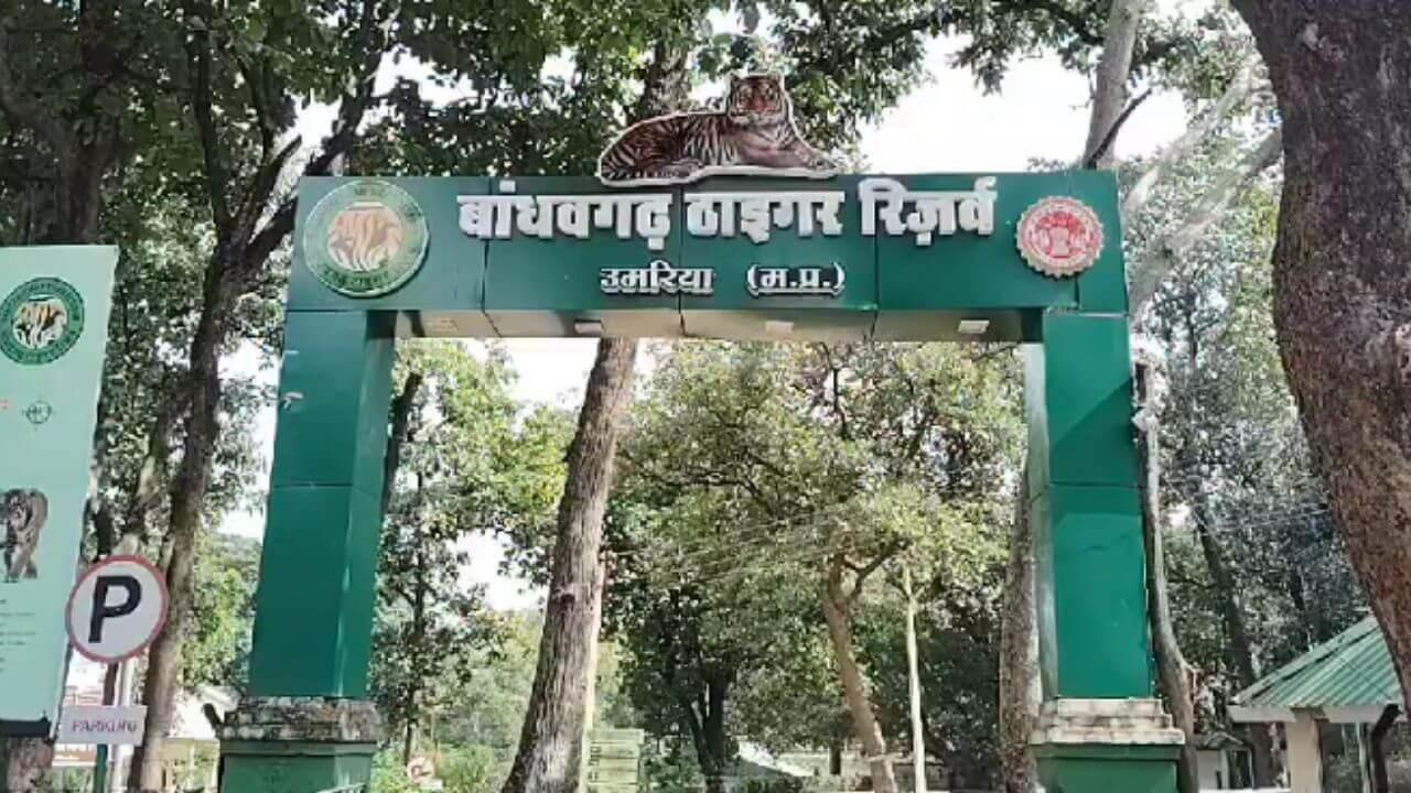 विश्व प्रसिद्ध टाइगर रिजर्व में 10 हाथियों की मौत से मचा हड़कंप, सामने आई चौंकाने वाली वजह