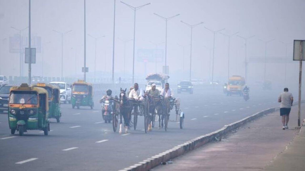 MP Weather: मध्य प्रदेश के 5 जिलों में पड़ेगी कड़ाके की ठंड, राजस्थान से आ रही हवाएं बढ़ाएगी कोहरा, जानें मौसम का हाल