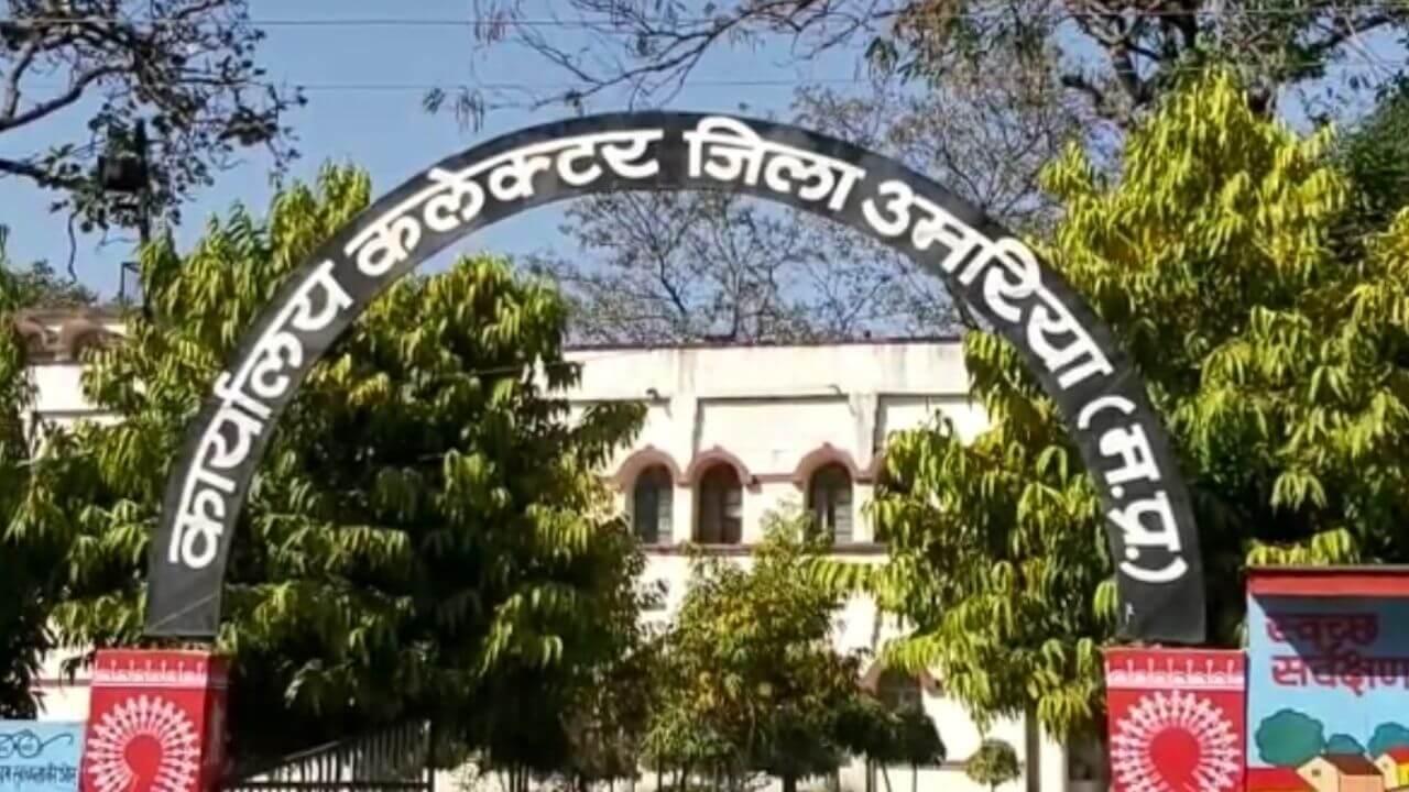 गड्ढे खोदने की मजदूरी नहीं दे रहा वन विभाग, कलेक्ट्रेट परिसर में धरना दे रहे मजदूर