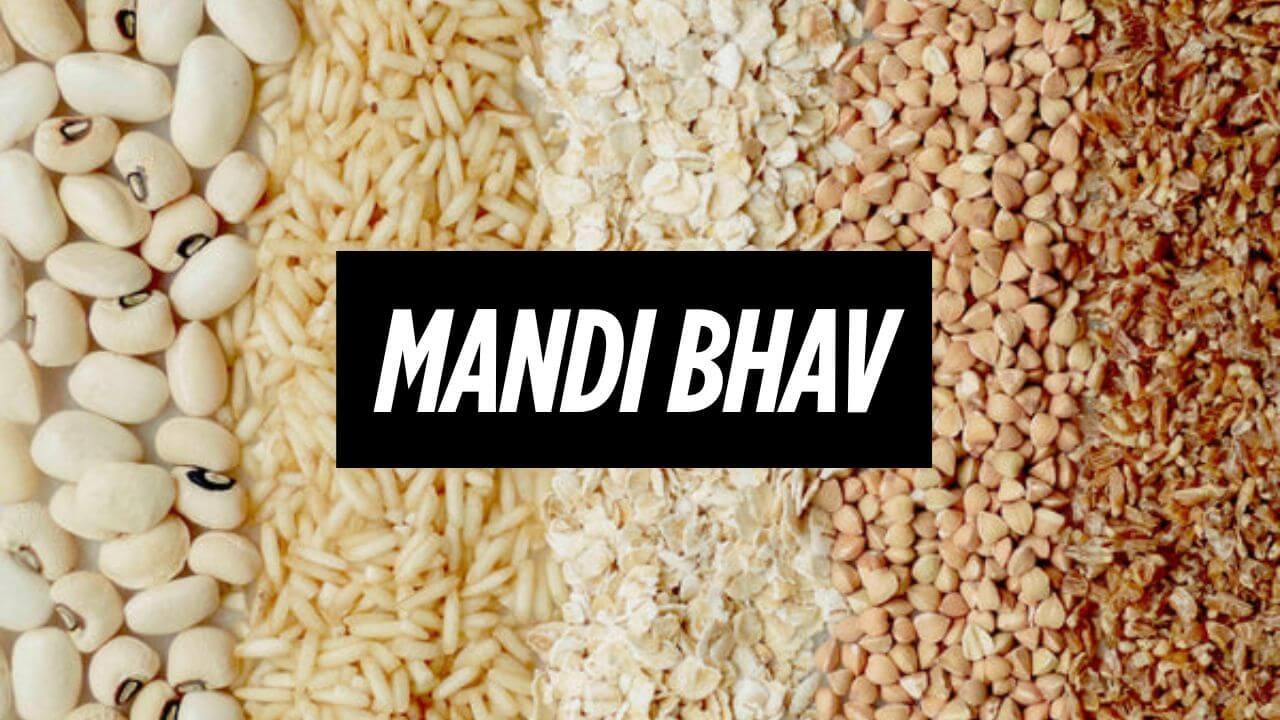 आज का मंडी भाव 29 मई 2025, किसानों के लिए खुशखबरी या चिंता की वजह? पढ़ें पूरी खबर
