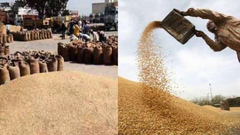 मध्य प्रदेश के किसानों के जरूरी खबर, MSP पर गेहूं खरीदी के लिए 7 फरवरी से पंजीयन, जानिए रेट, नियम और प्रक्रिया