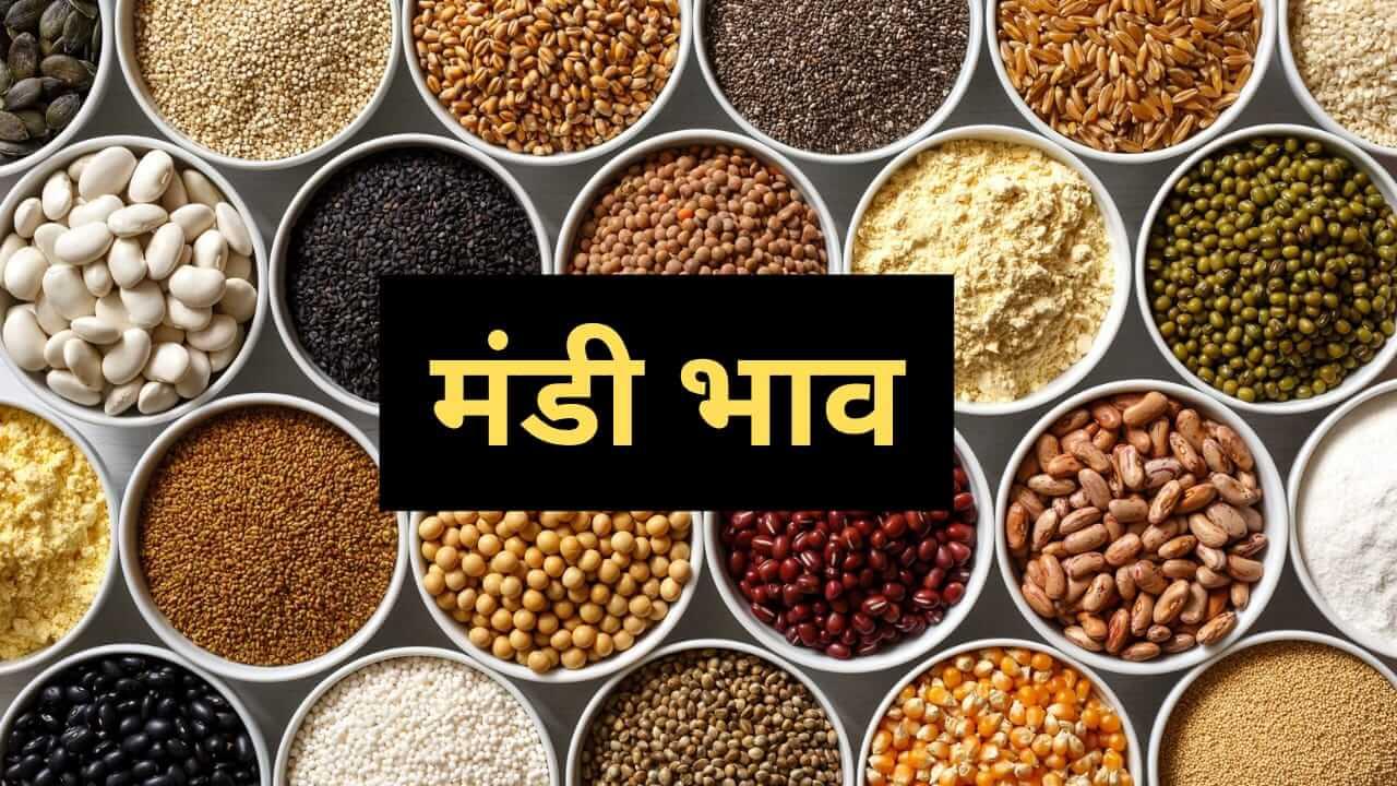 Mandi Bhav: बढ़े डॉलर और देसी चना के दाम, मूंग-तुअर में जबरदस्त गिरावट, देखें 27 मार्च का ताजा रेट