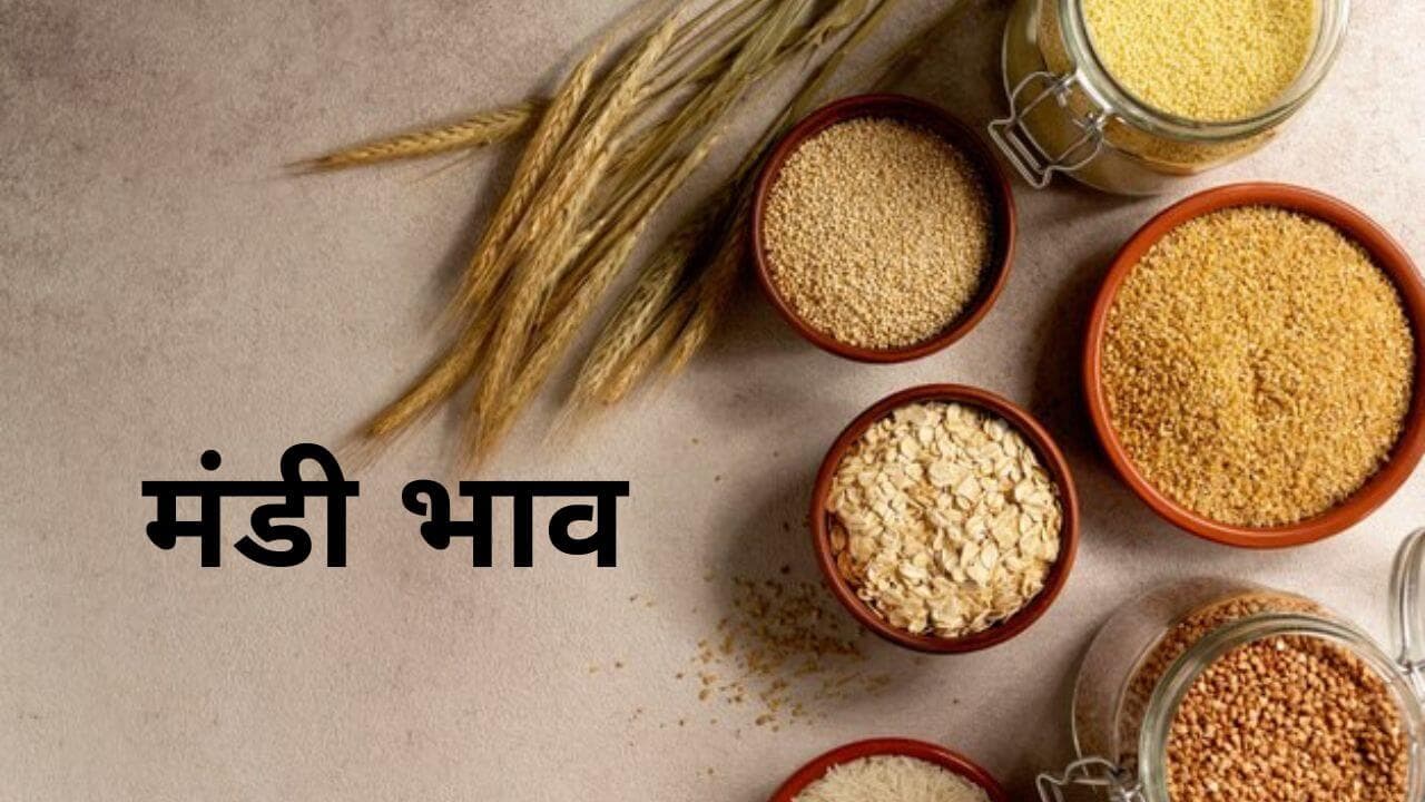 22 मई 2025 का ताज़ा Mandi Bhav, जानिए आज गेहूं, सोयाबीन, चना और प्याज के भाव