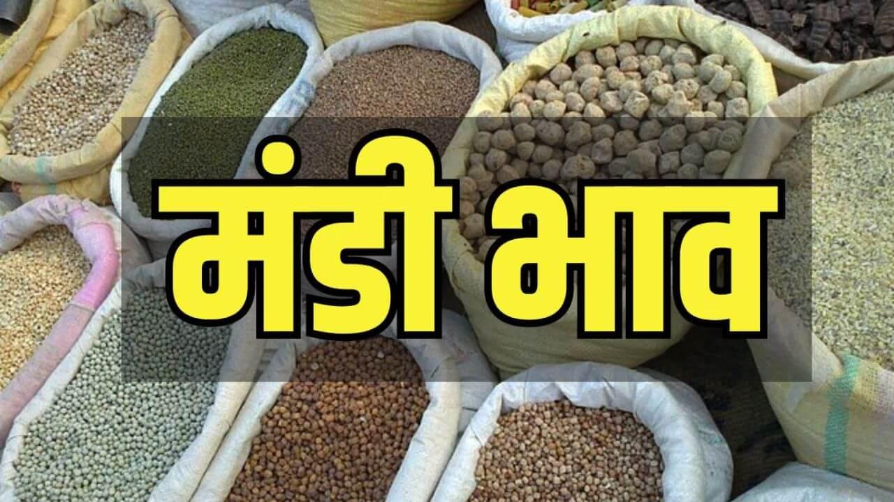 4 जुलाई 2025 का Mandi Bhav अनाज, दलहन और सब्जियों के ताज़ा रेट जानिए एक क्लिक में