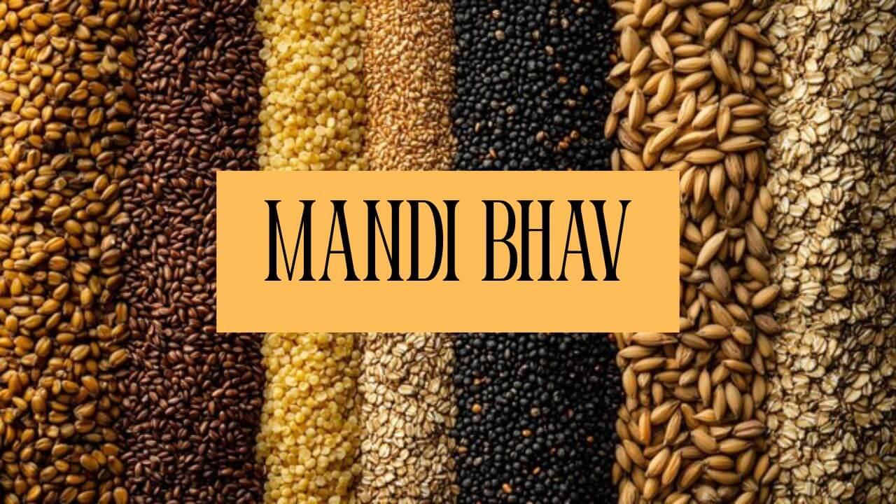 रविवार 27 अप्रैल 2025 के मंडी भाव में मक्का में उछाल, देसी चने और गेहूं में सुस्ती