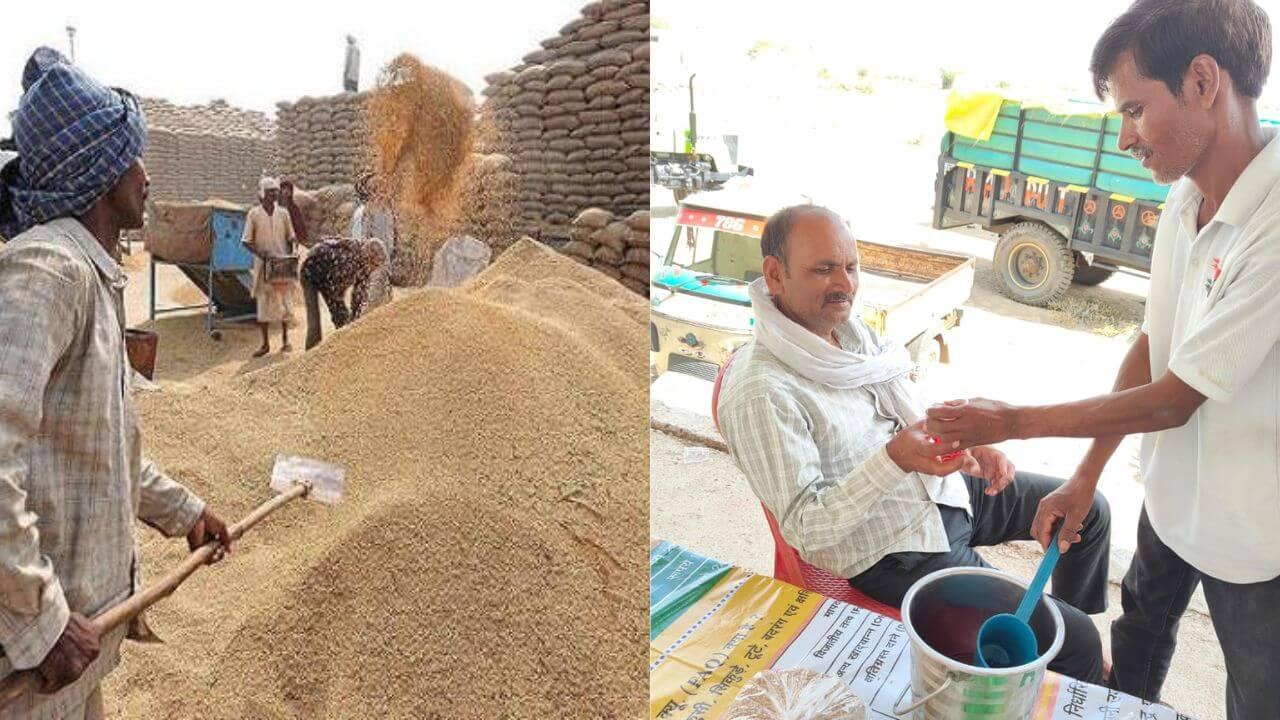 MP में अब तक 56 लाख मीट्रिक टन से अधिक गेहूं खरीदी, उपार्जन केंद्रों पर किसानों का वैलकम ड्रिंक्स से स्वागत, 30 अप्रैल स्लाट बुकिंग की लास्ट डेट