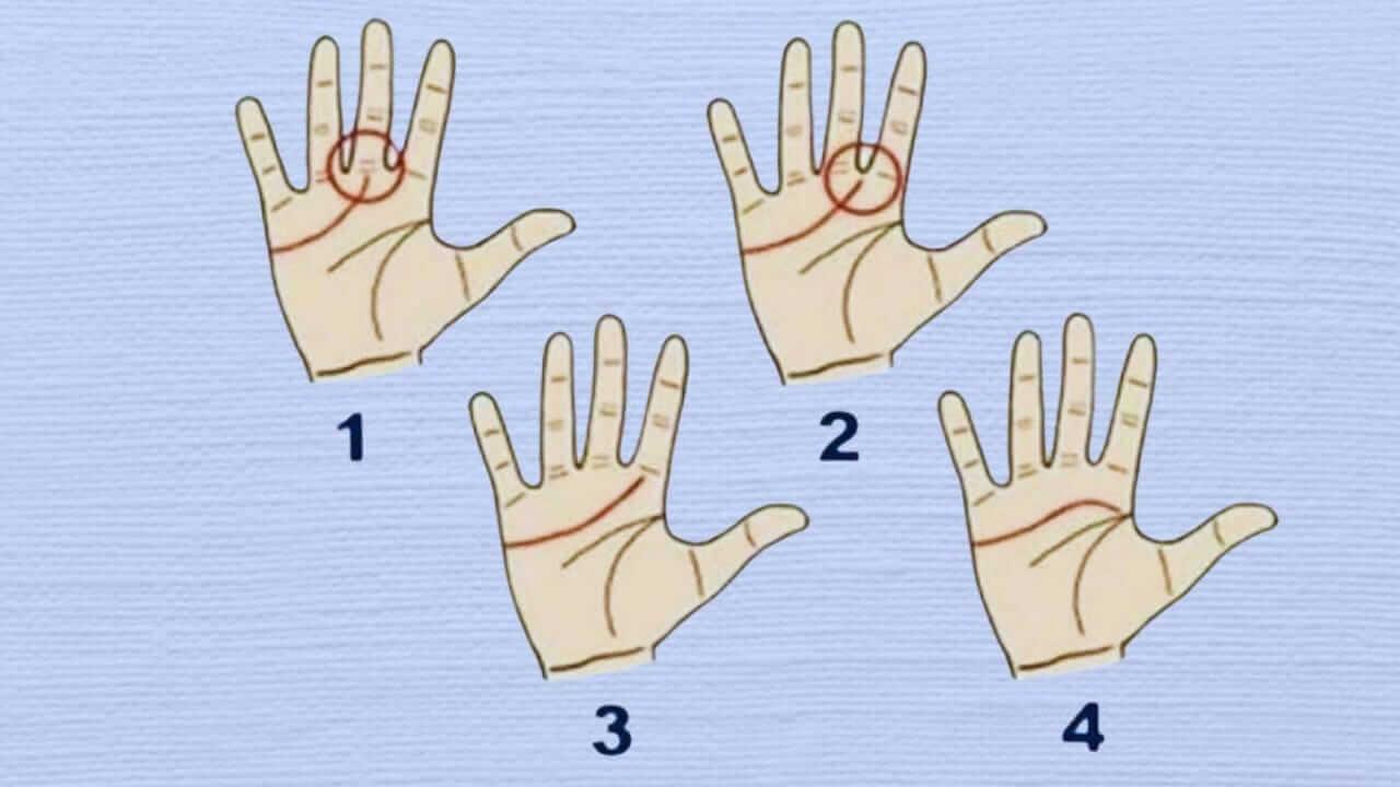 Personality Test: हथेली में छुपे हैं व्यक्ति के गुण-अवगुण, आकार और रेखाओं से जानें व्यक्तित्व