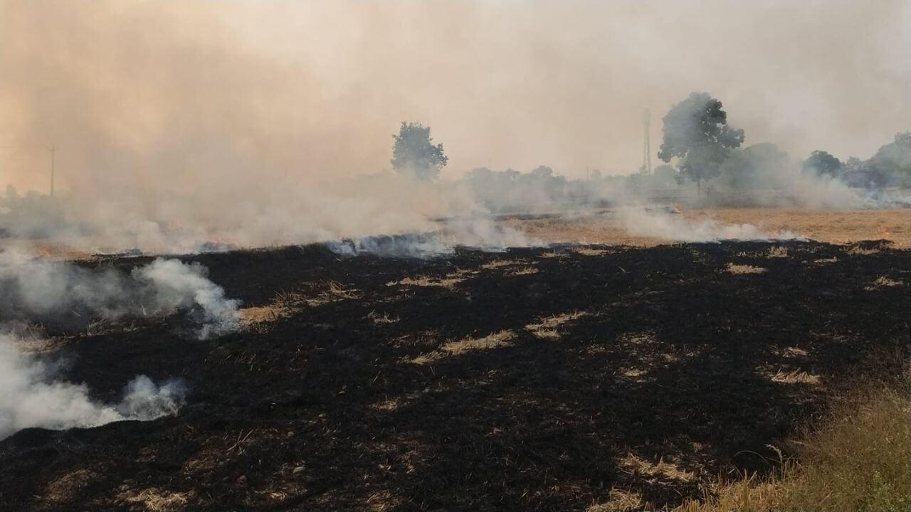 पराली जलाना प्रतिबंधित, आदेश का उल्लंघन करना 11 किसानों को पड़ा भारी, जिला प्रशासन ने लगाया जुर्माना