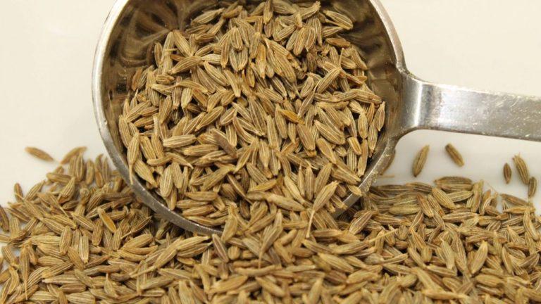 घर में धन की कमी और परेशानियों से परेशान हैं? जानिए जीरे से खुशहाली कैसे लाएं