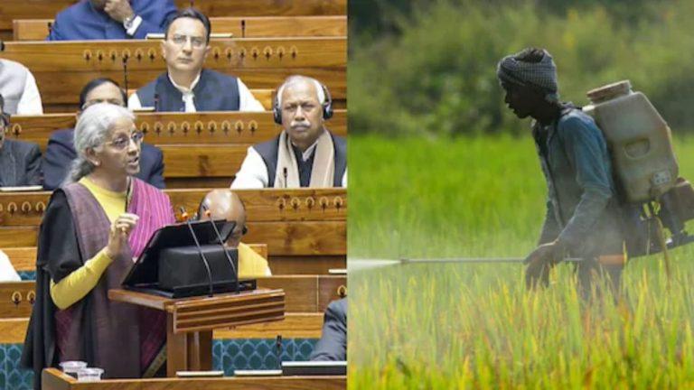 Budget 2026: वित्त मंत्री निर्मला सीतारमण का बड़ा ऐलान, नारियल, काजू और चंदन जैसी फसलों से बढ़ेगी किसानों की आय, जानिए किसानों को क्या मिला?