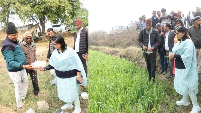 ग्वालियर में ओलावृष्टि से बर्बाद फसलें देखने खेतों में पहुंचीं कलेक्टर, लापरवाह पटवारी निलंबित