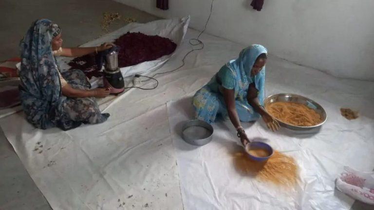 आजीविका होली मेला, बुरहानपुर की महिलाएं बना रहीं फूलों से गुलाल, बन रहीं उद्यमी, 150 रूपये तक बिच रहा एक पैकेट