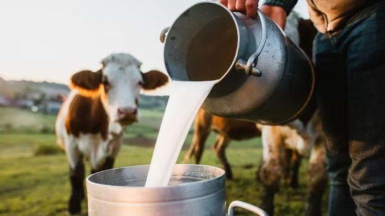 मध्य प्रदेश में कल से दूध ₹5 लीटर तक होगा महंगा, इंदौर में ₹3 और धार में ₹4 बढ़ेंगे दाम, सांची के रेट नहीं बदले