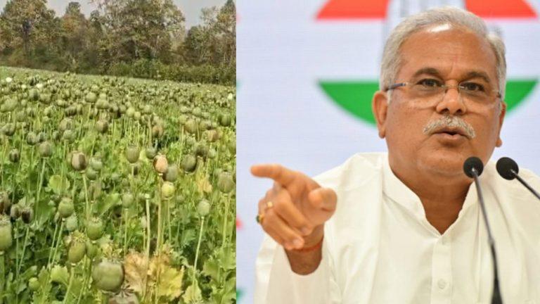 छत्तीसगढ़ में अफीम की खेती पर घमासान, पूर्व सीएम भूपेश बघेल बोले- गृहमंत्री के संरक्षण में चल रहा है नशे का कारोबार