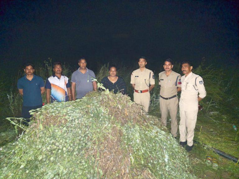 अवैध अफीम की खेती पर मध्यप्रदेश पुलिस की बड़ी कार्रवाई, 3 करोड़ रुपये से अधिक की फसल जब्त
