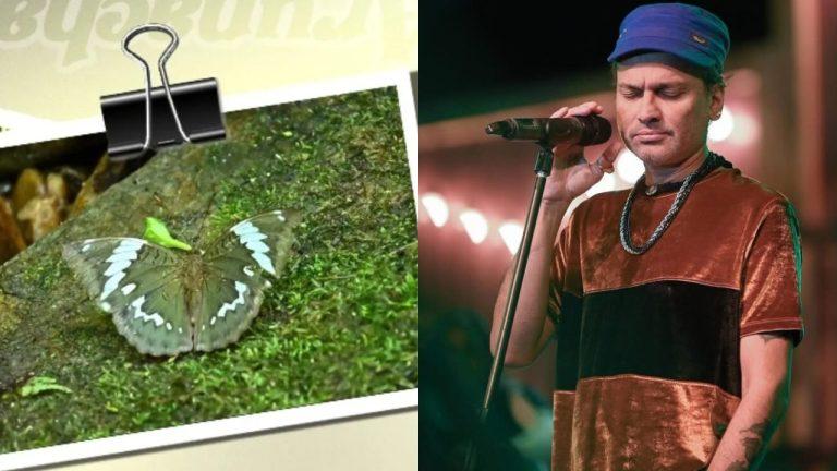 अरुणाचल प्रदेश में तितली की नई प्रजाति की खोज, मशहूर गायक जुबीन गर्ग के नाम पर रखा गया नाम