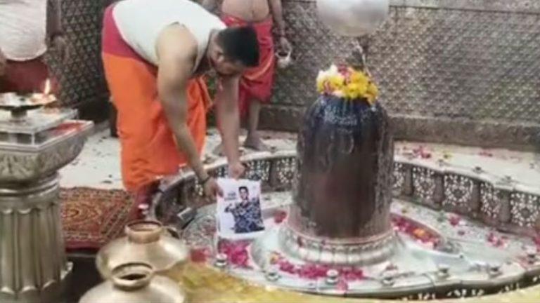 वर्ल्ड कप फाइनल से पहले महाकाल के दरबार में विशेष पूजा, टीम इंडिया की जीत के लिए हुआ जलाभिषेक
