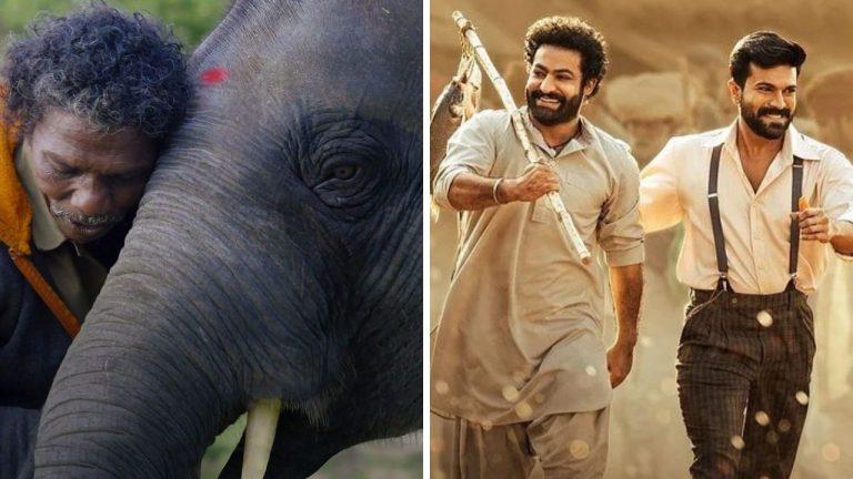 ऑस्कर जीत इन भारतीय फिल्मों ने लहराया परचम, किसी के संगीत तो किसी की कहानी ने जीता दर्शकों का दिल