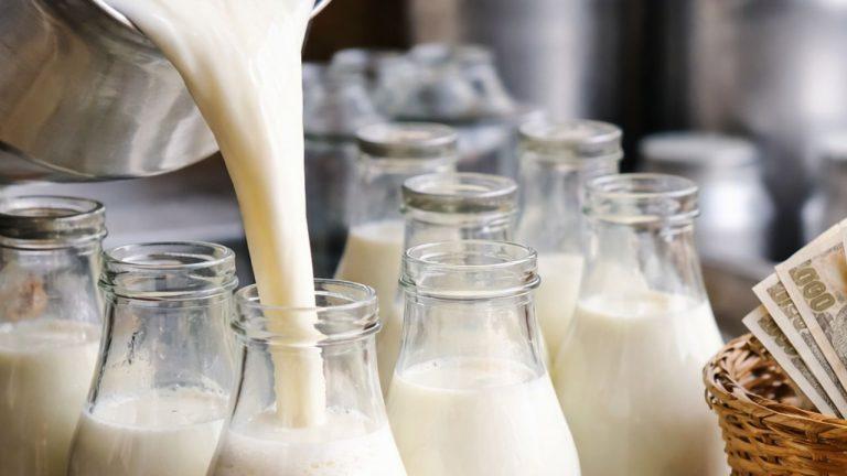 उज्जैन में दूध पर महंगाई की मार! 60 से 62 रुपए लीटर हुआ रेट, जानिए वजह