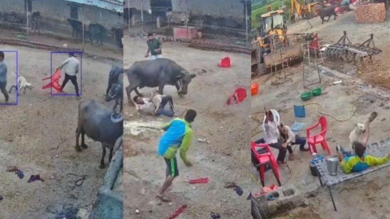 महू में कुत्ते का कहर! CCTV में कैद हमला, 5 लोगों को काटा, गांव में दहशत