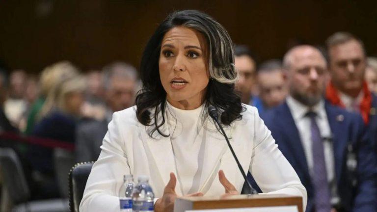 US खुफिया विभाग के डायरेक्टर पद से तुलसी गबार्ड ने दिया इस्तीफा, जानें क्या है इसके पीछे की वजह?