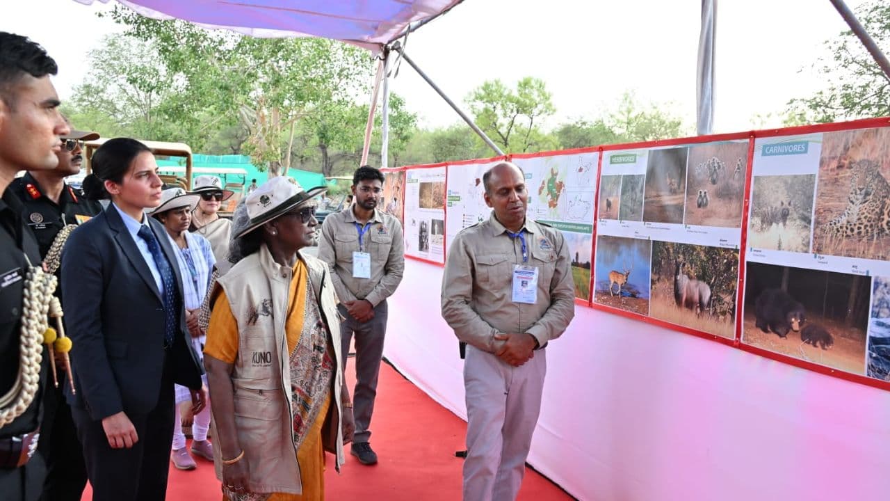कूनो नेशनल पार्क पहुंचीं राष्ट्रपति द्रौपदी मुर्मू, चीता कंट्रोल एंड कमांड सेंटर देखा, सोमवार को चीता सफारी का लेंगी आनंद