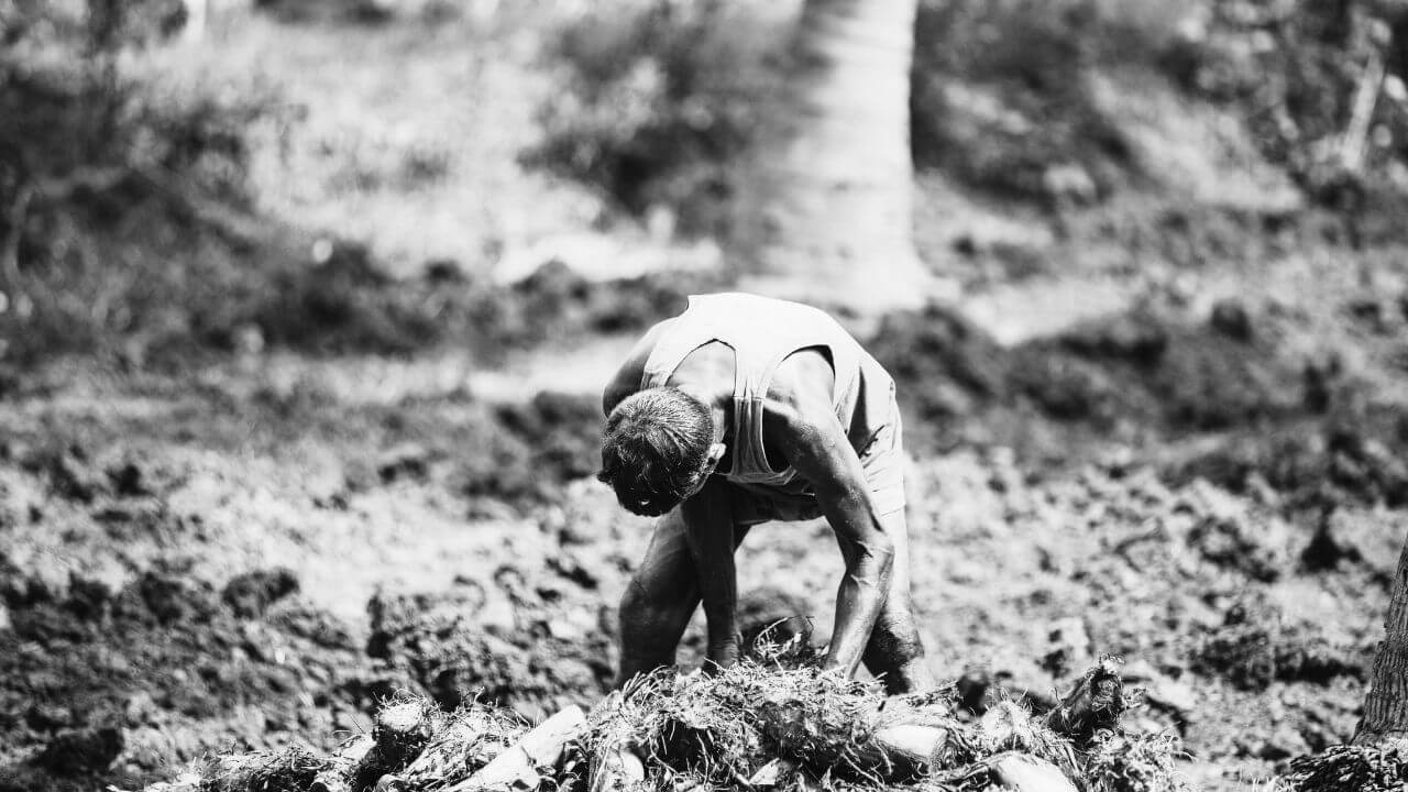 maharashtra rain farmer