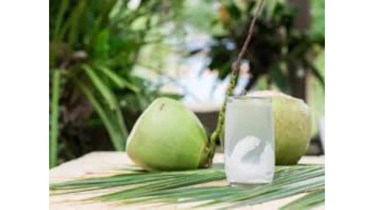 आरोग्यदायी असलेले नारळ पाणीही आरोग्यासाठी हानिकारक? जाणून घ्या…