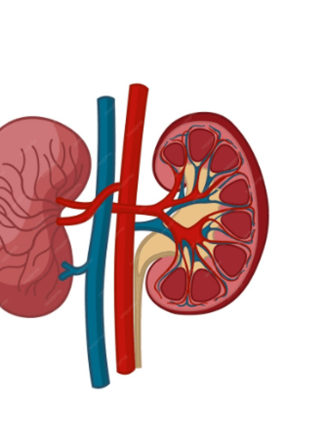 Screenshot 2025-07-27 121755