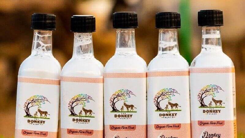 गाय, म्हैस, बकरी किंवा उंट नाही... तर या प्राण्याचं दूध सर्वात महाग आहे; किंमत आणि नाव जाणून तुम्हाला धक्का बसेल