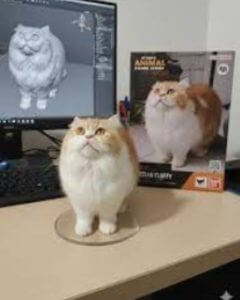 क्रेडिट-गुगल जेमिनी