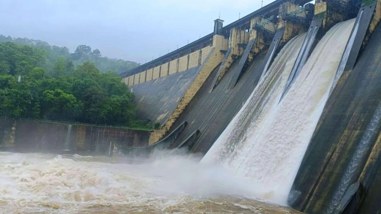 मुंबईला पाणीपुरवठा करणारी सात धरणं तुडूंब; धरणांच्या पाणलोट क्षेत्रात मुसळधार पाऊस