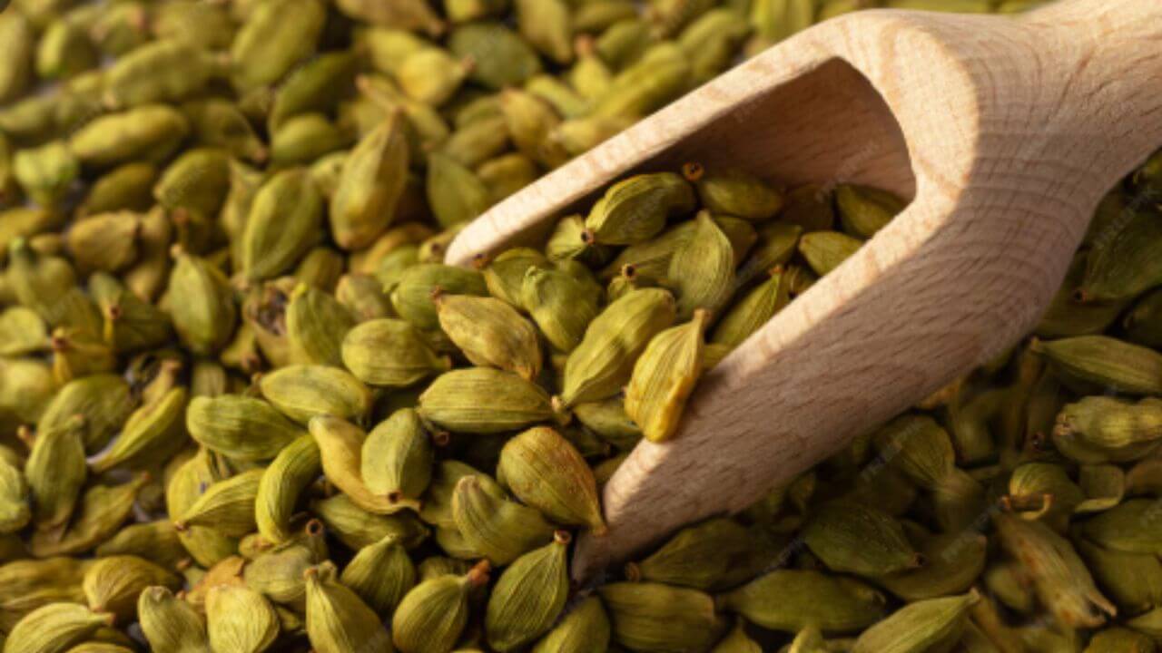 सोन्याच्या भावात विकली जाणारी वेलची आता घरातच उगवा, जाणून घ्या रोप लावण्याची योग्य पद्धत