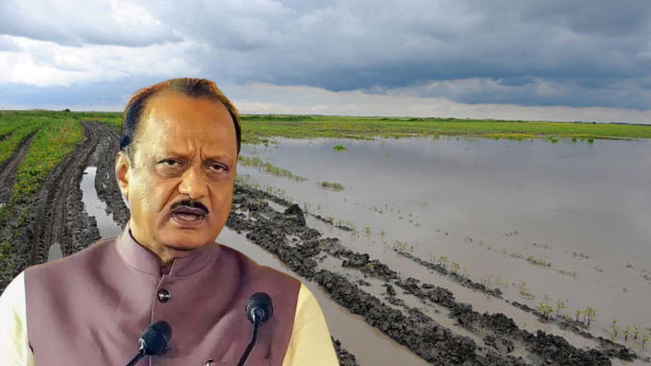 पूरग्रस्तांसाठी अजित पवारांच्या राष्ट्रवादीचा मोठा निर्णय; आमदार खासदार देणार इतके पैसे