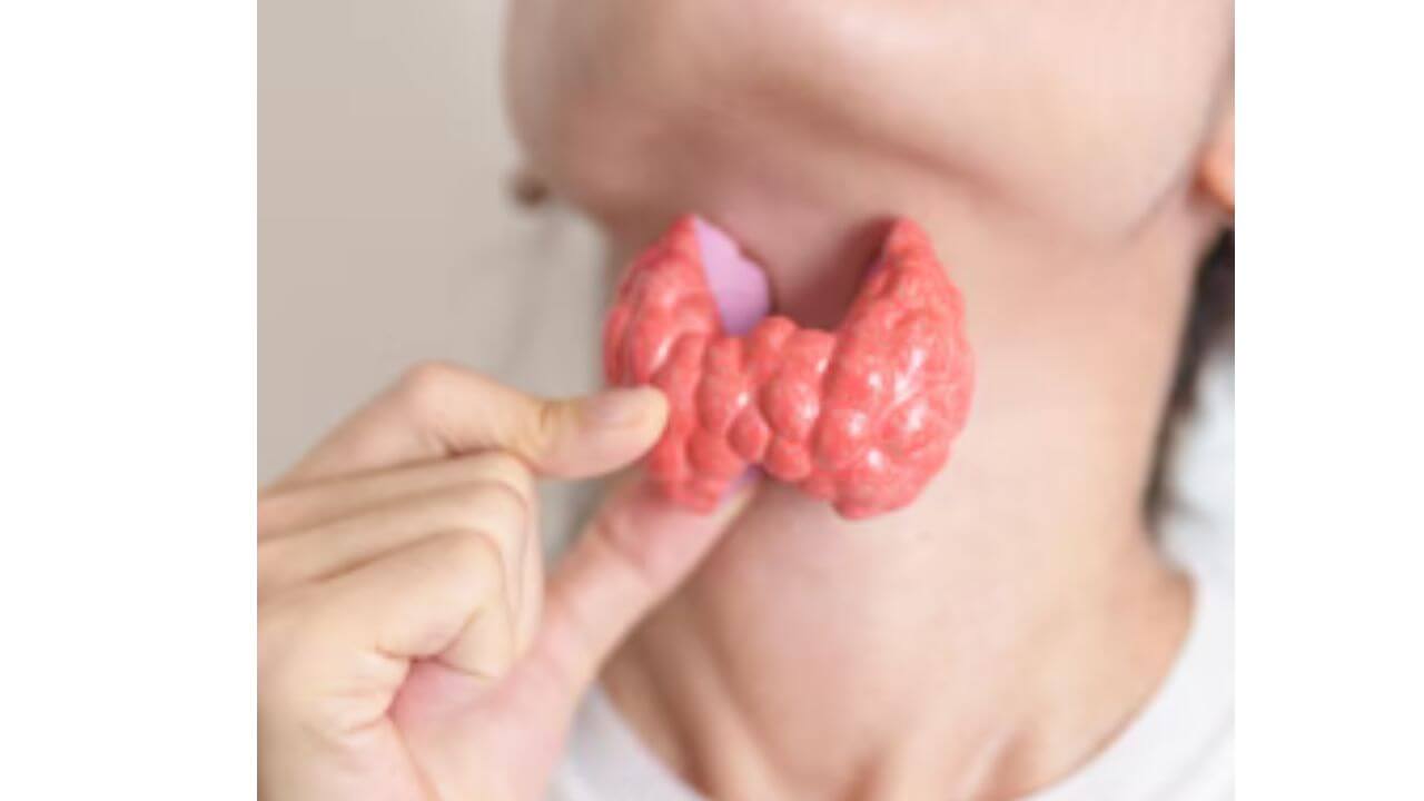 थायरॉईडमध्ये फायदेशीर आहेत ५ पदार्थ, दररोज सेवन केल्यास नियंत्रित होईल समस्या