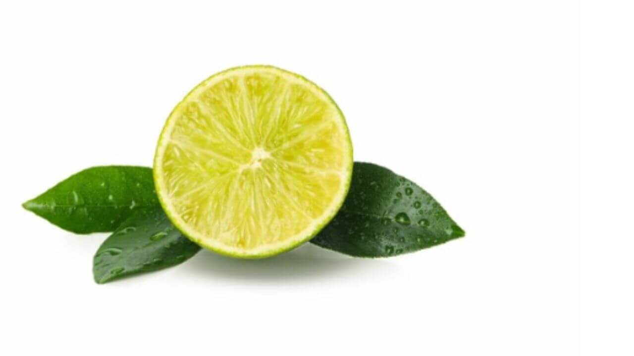 किडनी स्टोनपासून ते ताण कमी करण्यापर्यंत फायदेशीर आहेत लिंबूची पाने, कसे सेवन करायचे जाणून घ्या
