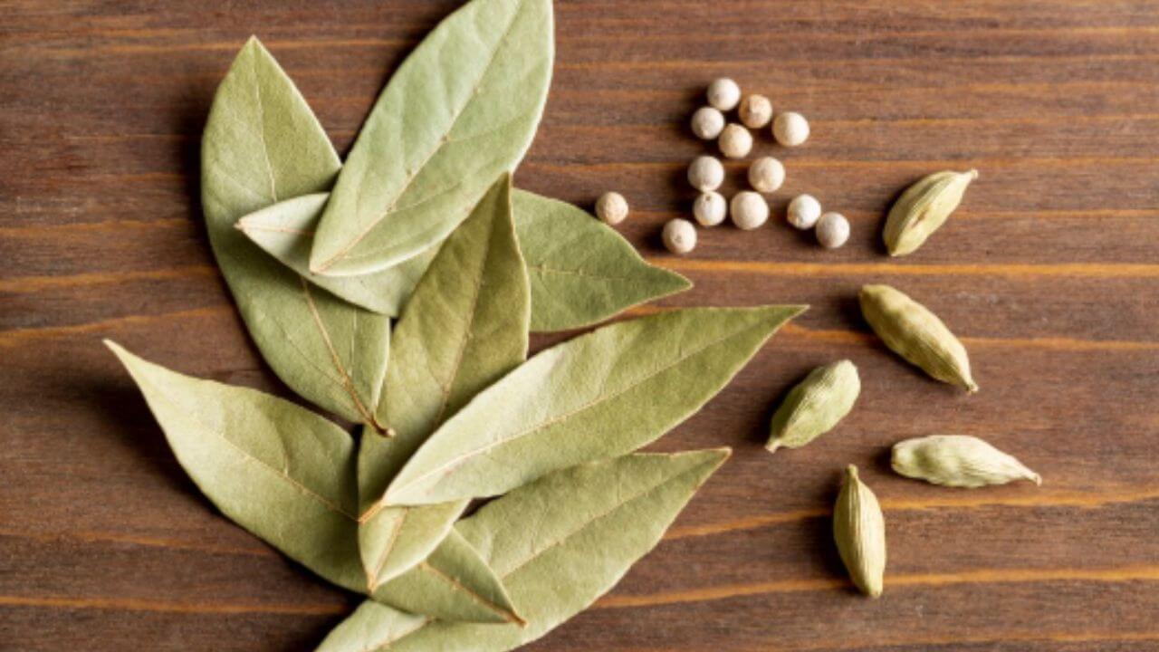 दररोज रिकाम्या पोटी प्या तमालपत्राचे पाणी, मधुमेह नियंत्रित राहते, किडनीही स्वच्छ होते