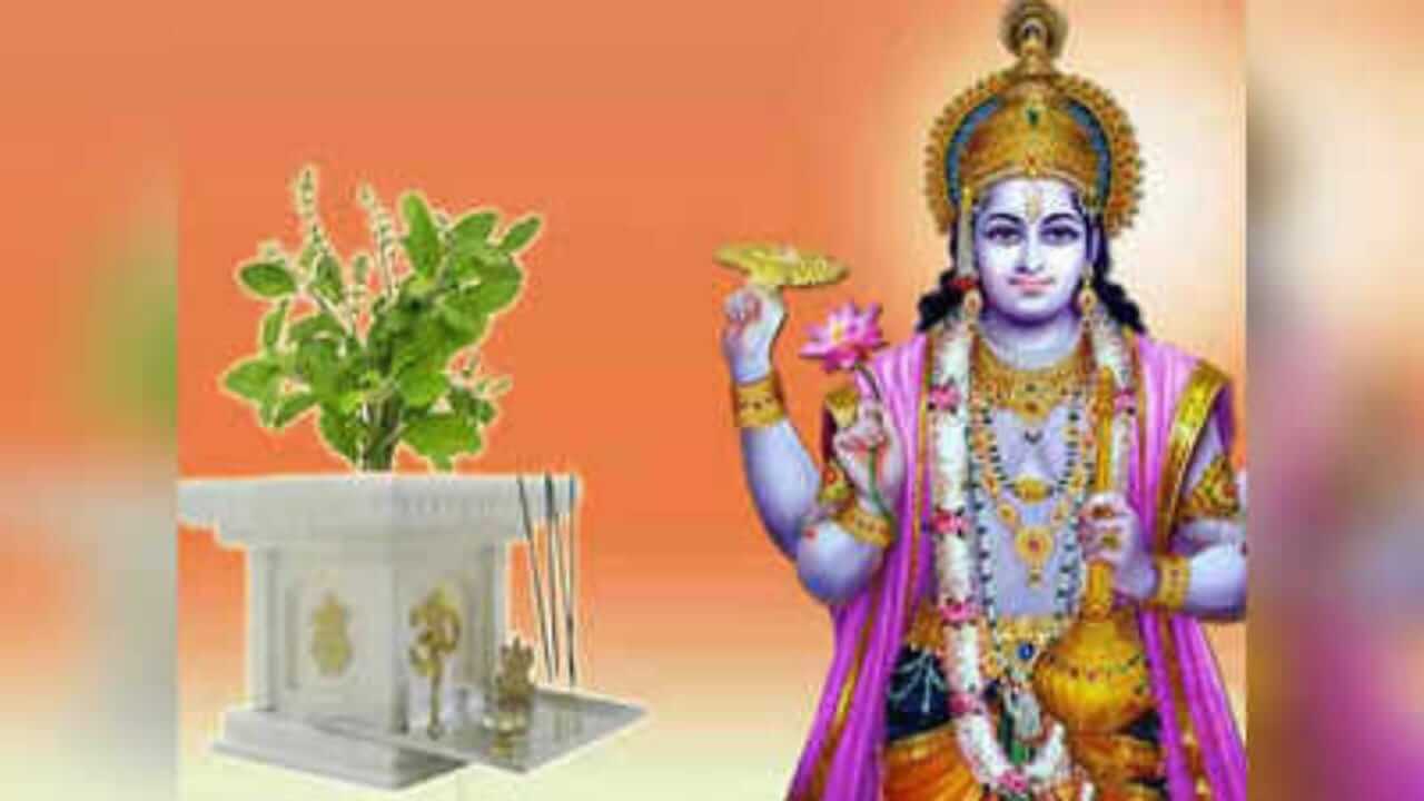 Tulsi Vivah 2025 : तुळशीच्या लग्नाला काय काय साहित्य लागतं? वाचा पूजेची पद्धत आणि साहित्याची यादी...