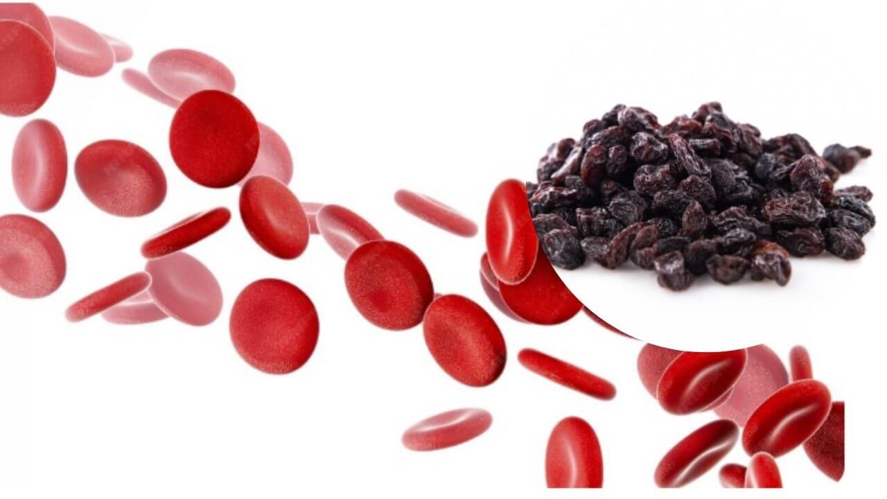 हिमोग्लोबिन वाढवण्यासाठी मनुके कसे खावेत? जाणून घ्या योग्य पद्धत