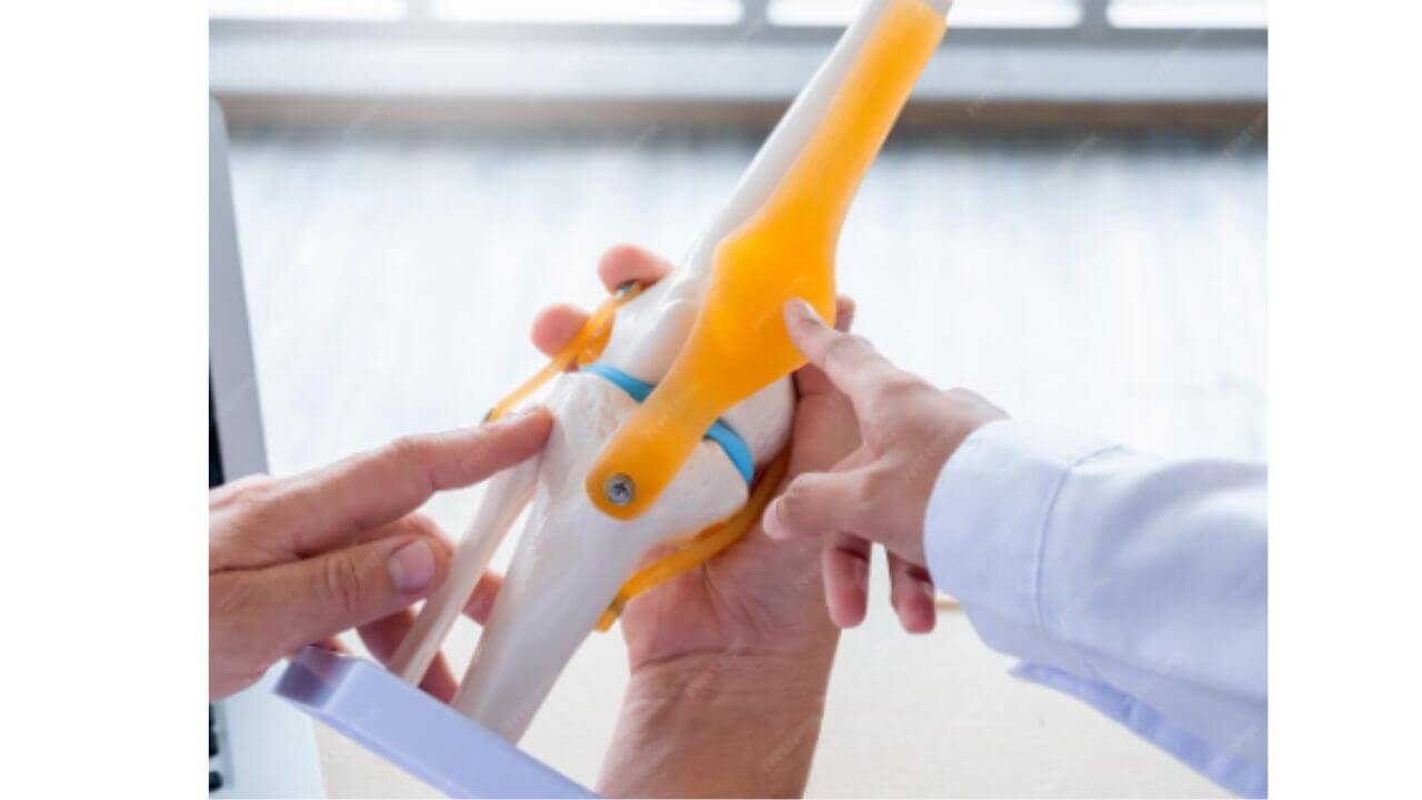 हाडे ढिसूळ होऊन सतत वेदना होतात? मजबूत करण्यासाठी नियमित खा 'हे' पदार्थ