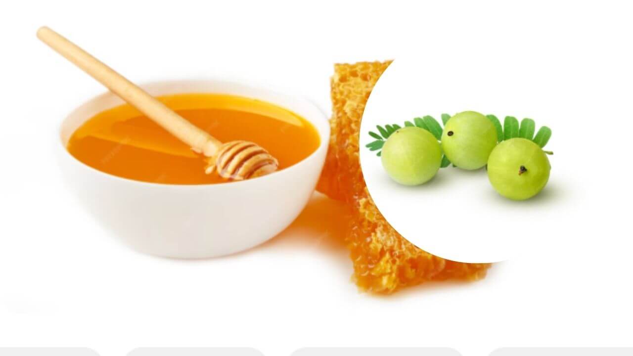 आवळा आणि मध एकत्र खाल्ल्याने काय होते? जाणून घ्या आश्चर्यकारक आरोग्य फायदे