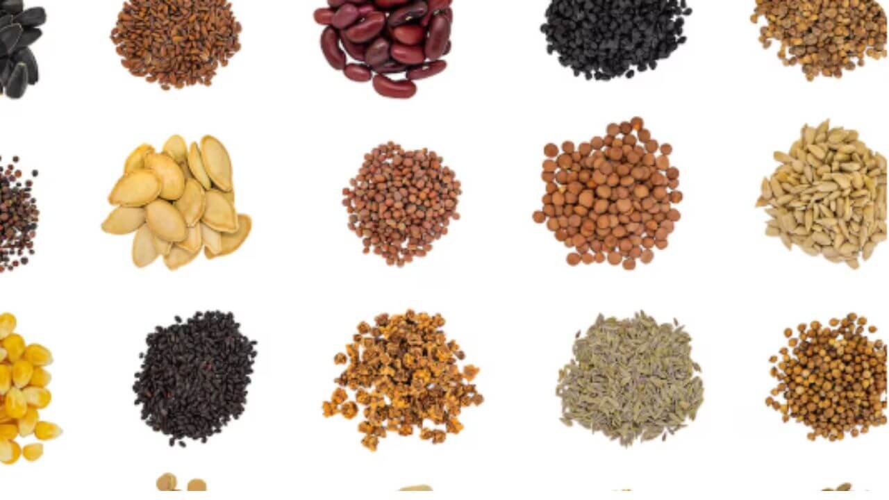 आहारात समावेश करा 'या' ५ प्रकारच्या बिया, डोळे निरोगी राहतील, दृष्टी सुधारेल