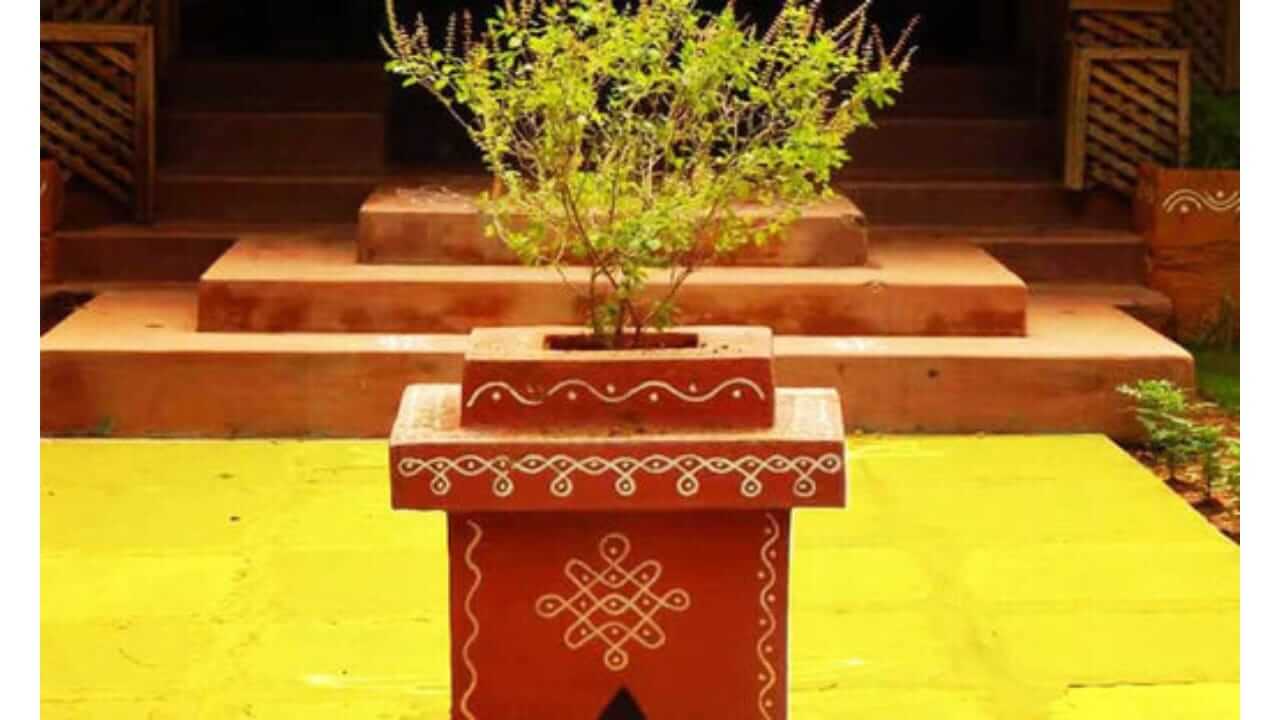 Tulsi Vivah 2025 : तुळशी विवाहाच्या दिवशी काय करावे आणि काय करू नये? जाणून घ्या...