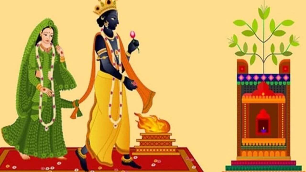 Tulasi Vivah 2025: तुळशी विवाह कधी आहे? तारीख, मुहूर्त आणि पूजेचा विधी जाणून घ्या!